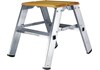 Iller Montagetritt Holz-Alu 2x2 Stufen